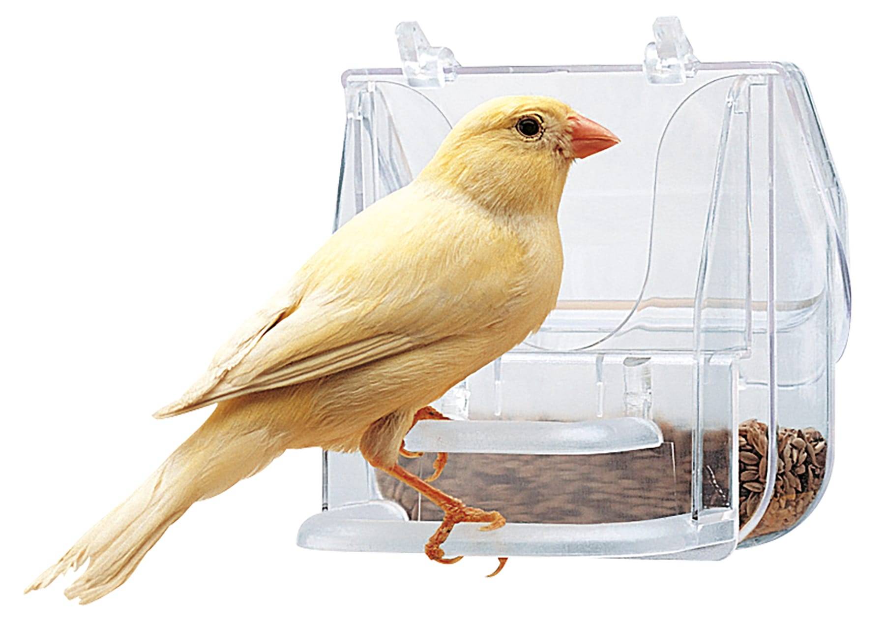 Ferplast - Mangeoire Oiseaux - FERPLAST - Image 3