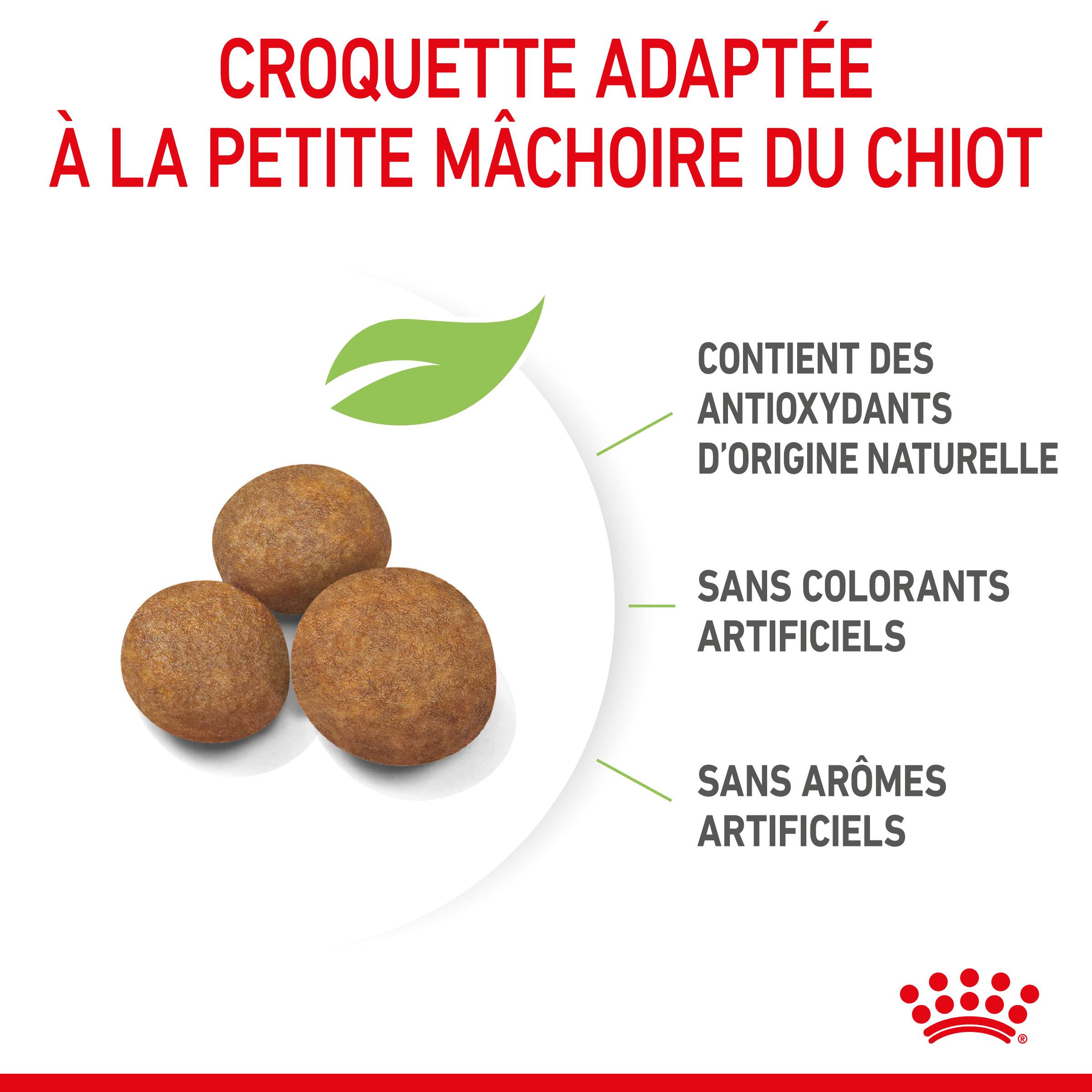 Royal Canin - Croquettes chiot géant junior giant - ROYAL CANIN - Image 4