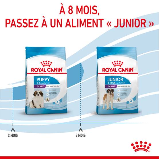 Royal Canin - Croquettes chiot géant junior giant - ROYAL CANIN - Image 7