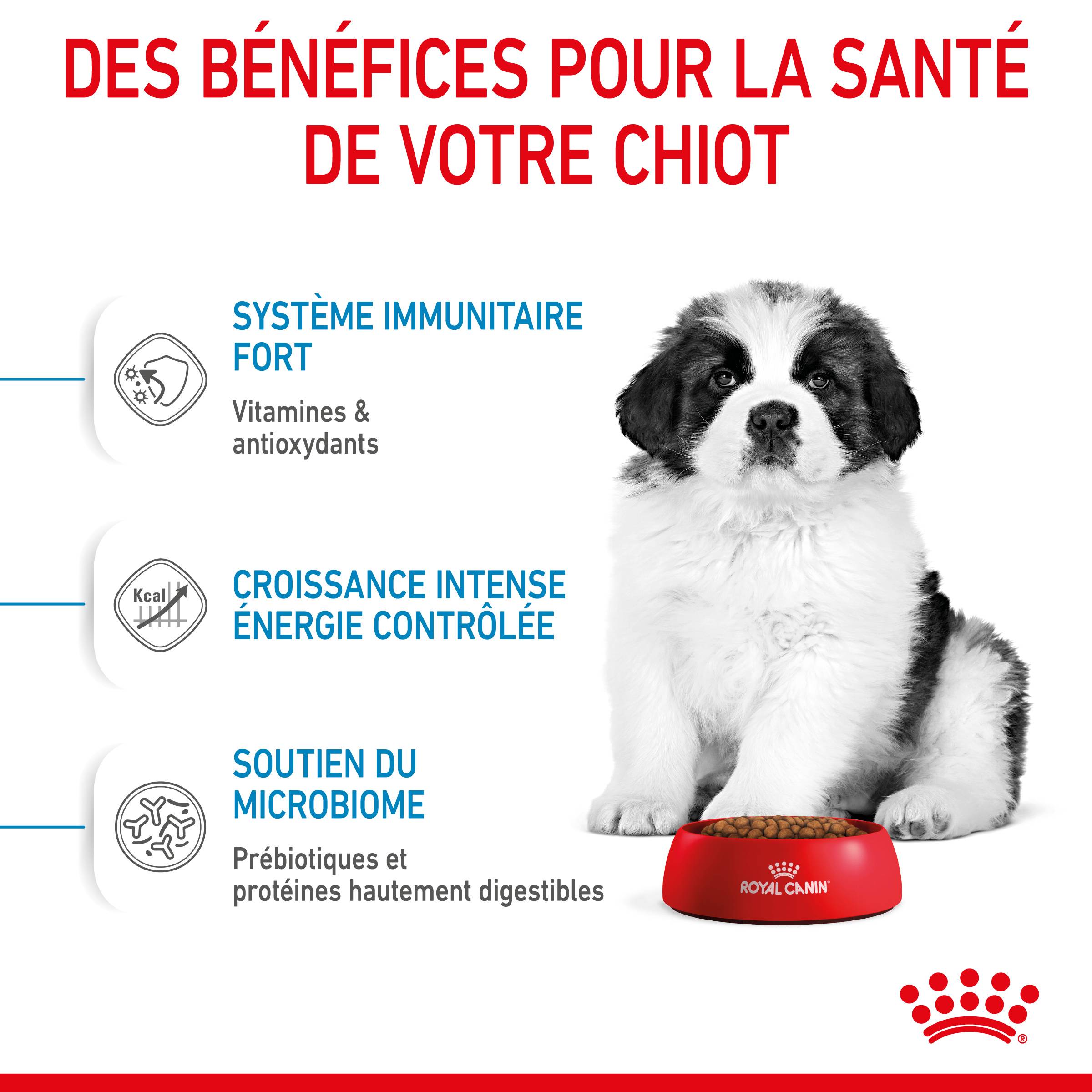 Royal Canin - Croquettes chiot géant junior giant - ROYAL CANIN - Image 6