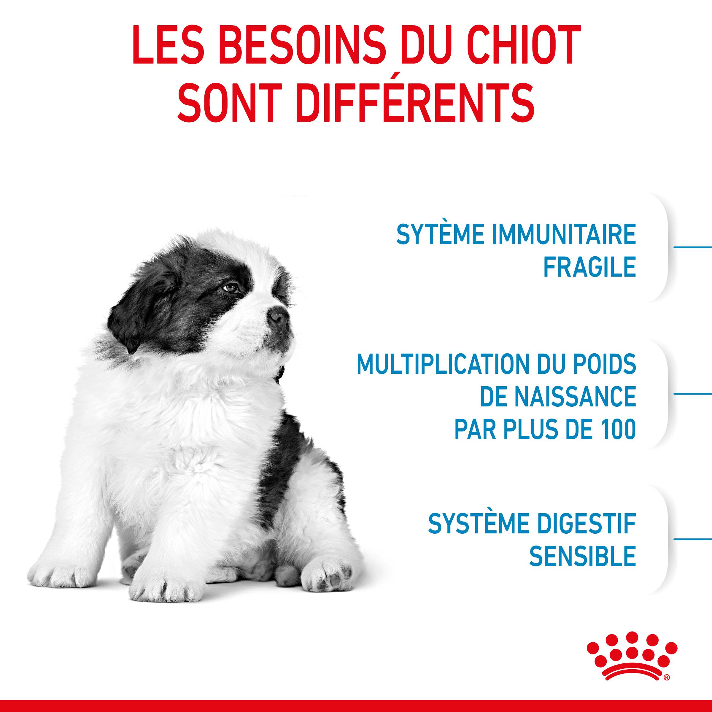 Royal Canin - Croquettes chiot géant junior giant - ROYAL CANIN - Image 8