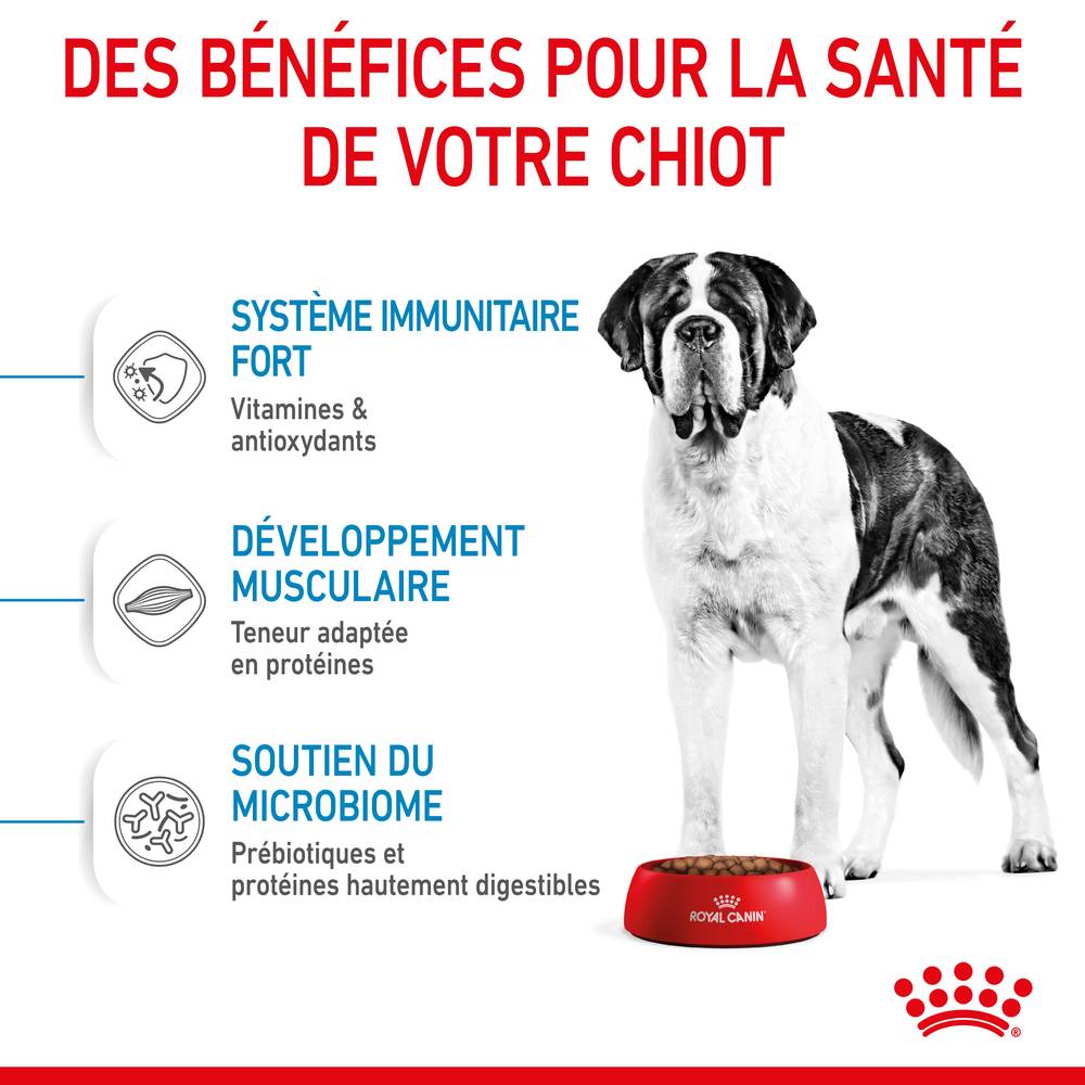 Royal Canin - Croquettes chiot géant junior giant - ROYAL CANIN - Image 13