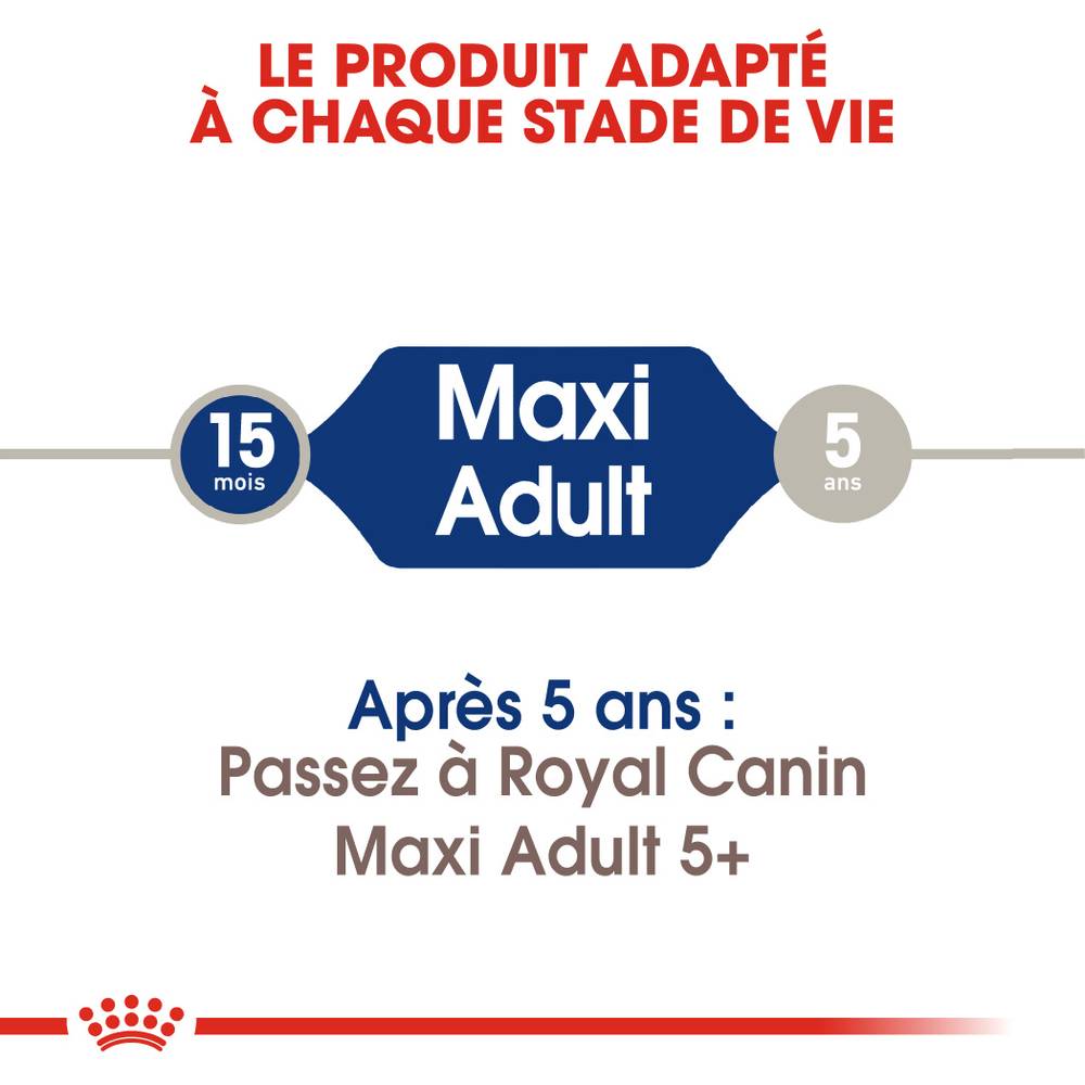 Royal Canin - Croquettes Chien Royal Canin Maxi Adult - ROYAL CANIN - Image 10
