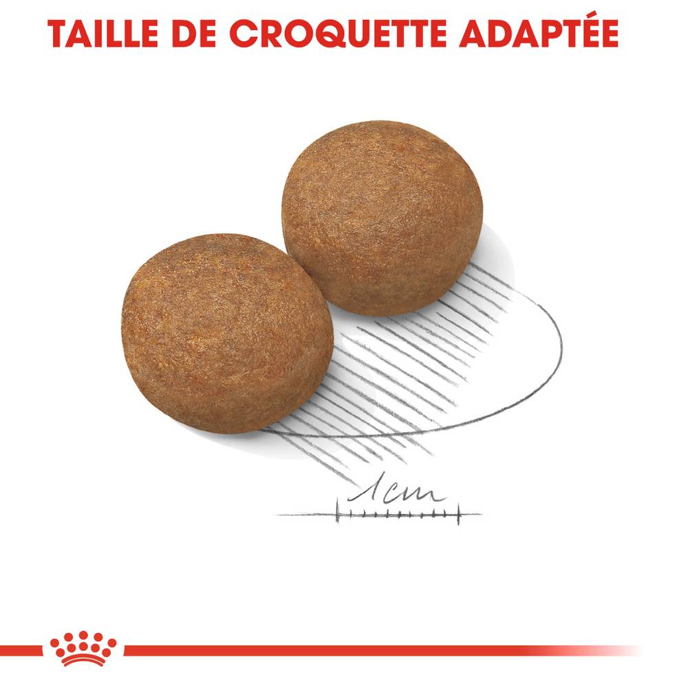 Royal Canin - Croquettes Chien Royal Canin Maxi Adult - ROYAL CANIN - Image 2