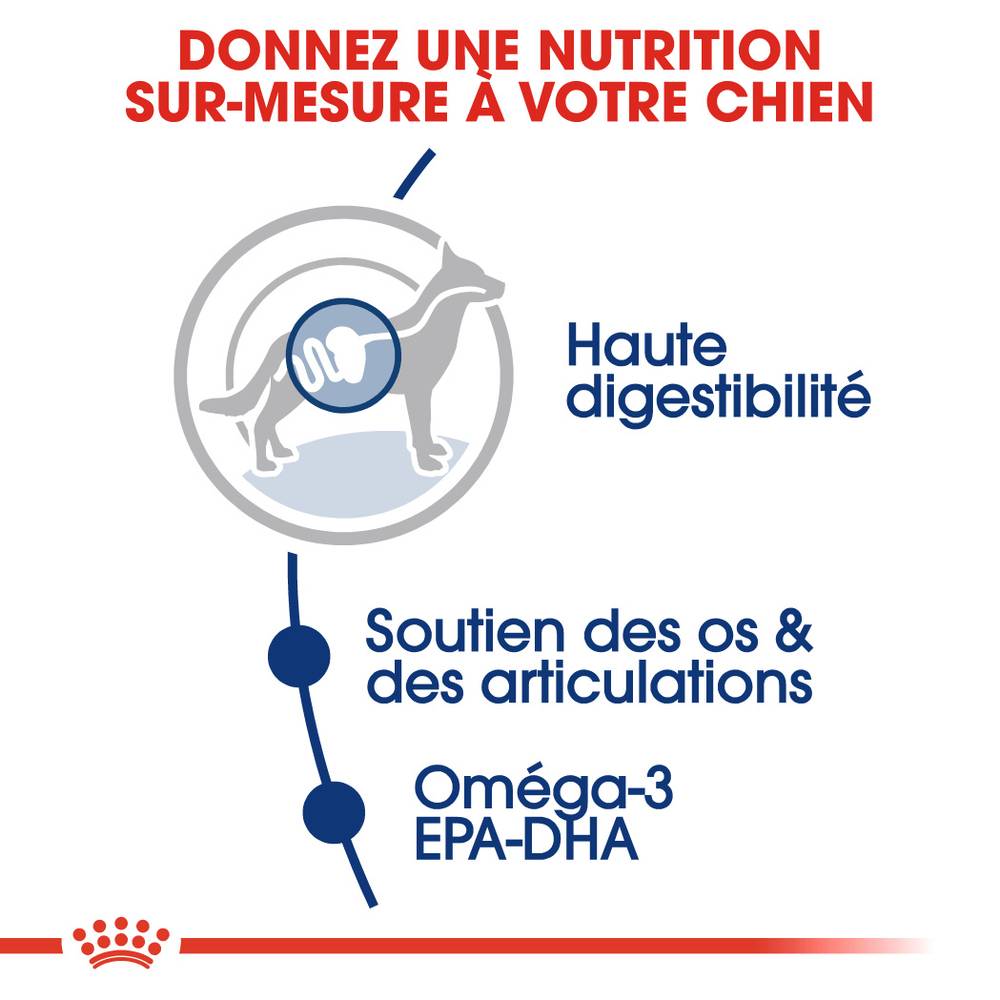 Royal Canin - Croquettes Chien Royal Canin Maxi Adult - ROYAL CANIN - Image 6