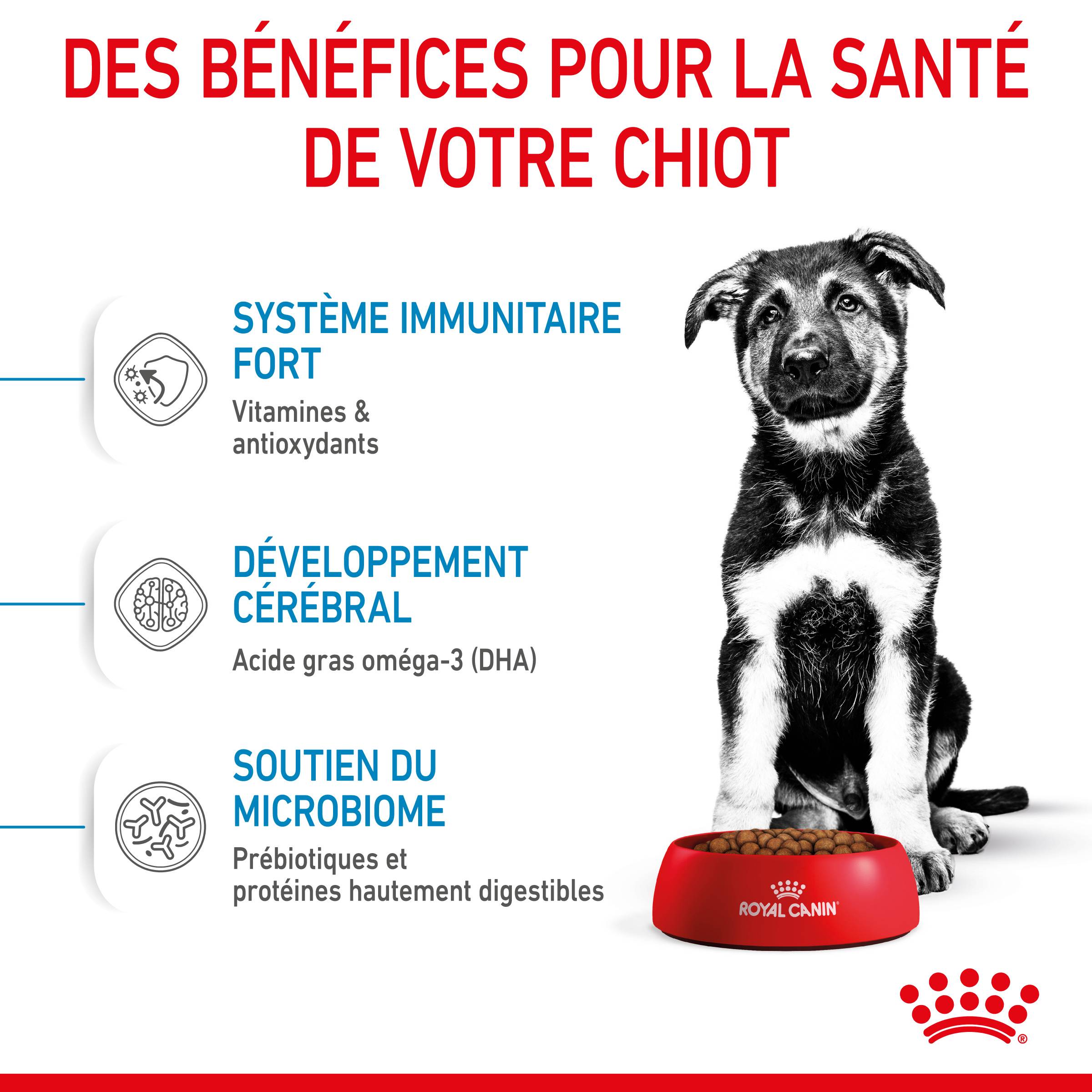 Royal Canin - Croquettes chiot Maxi Puppy – ROYAL CANIN - Image 9