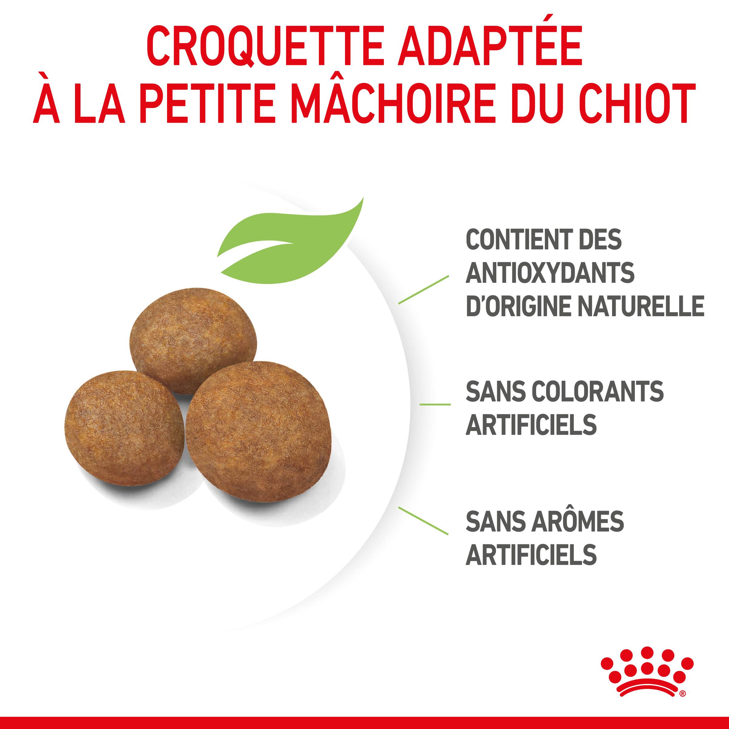 Royal Canin - Croquettes chiot Maxi Puppy – ROYAL CANIN - Image 4