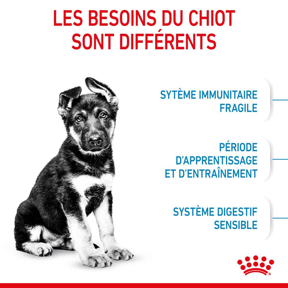 Royal Canin - Croquettes chiot Maxi Puppy – ROYAL CANIN - Image 12