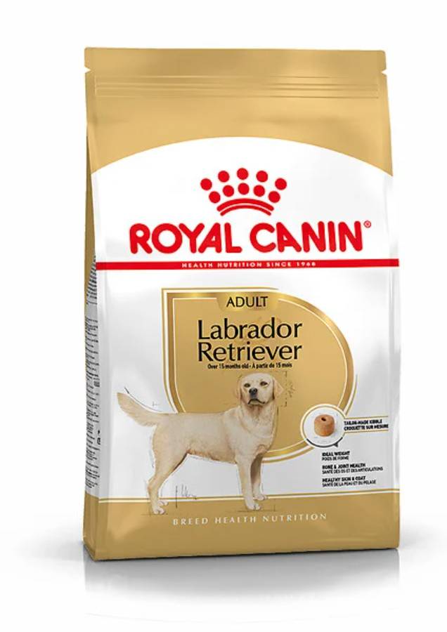 Royal Canin - Croquettes Chien Labrador Adulte - ROYAL CANIN