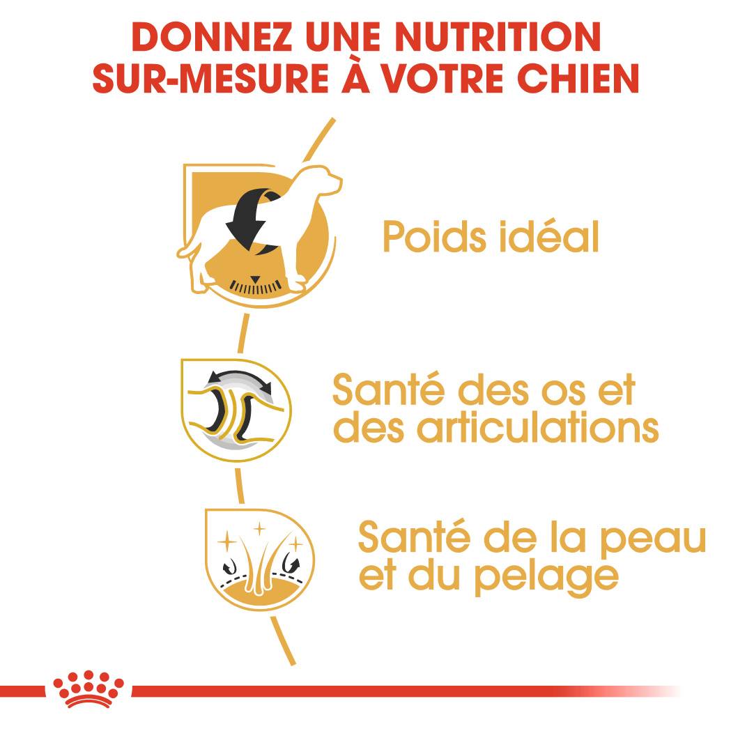 Royal Canin - Croquettes chien Labrador adulte 3 kg - ROYAL CANIN - Image 3