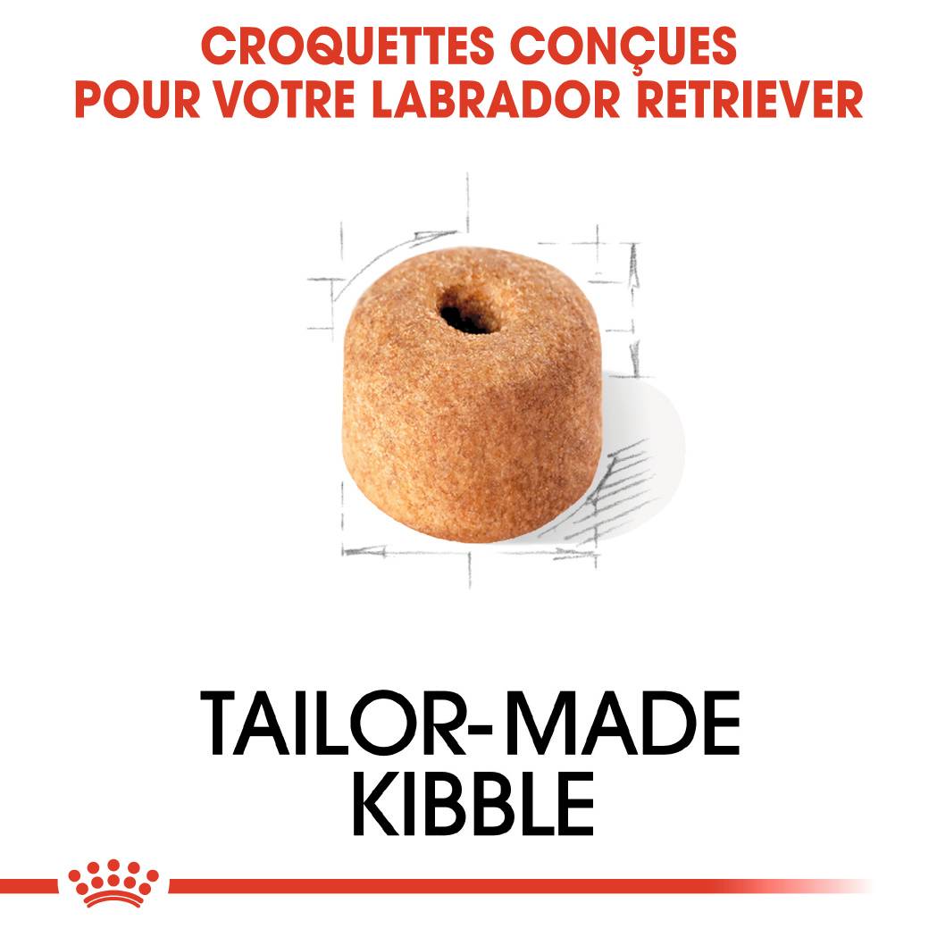 Royal Canin - Croquettes chien Labrador adulte 3 kg - ROYAL CANIN - Image 6