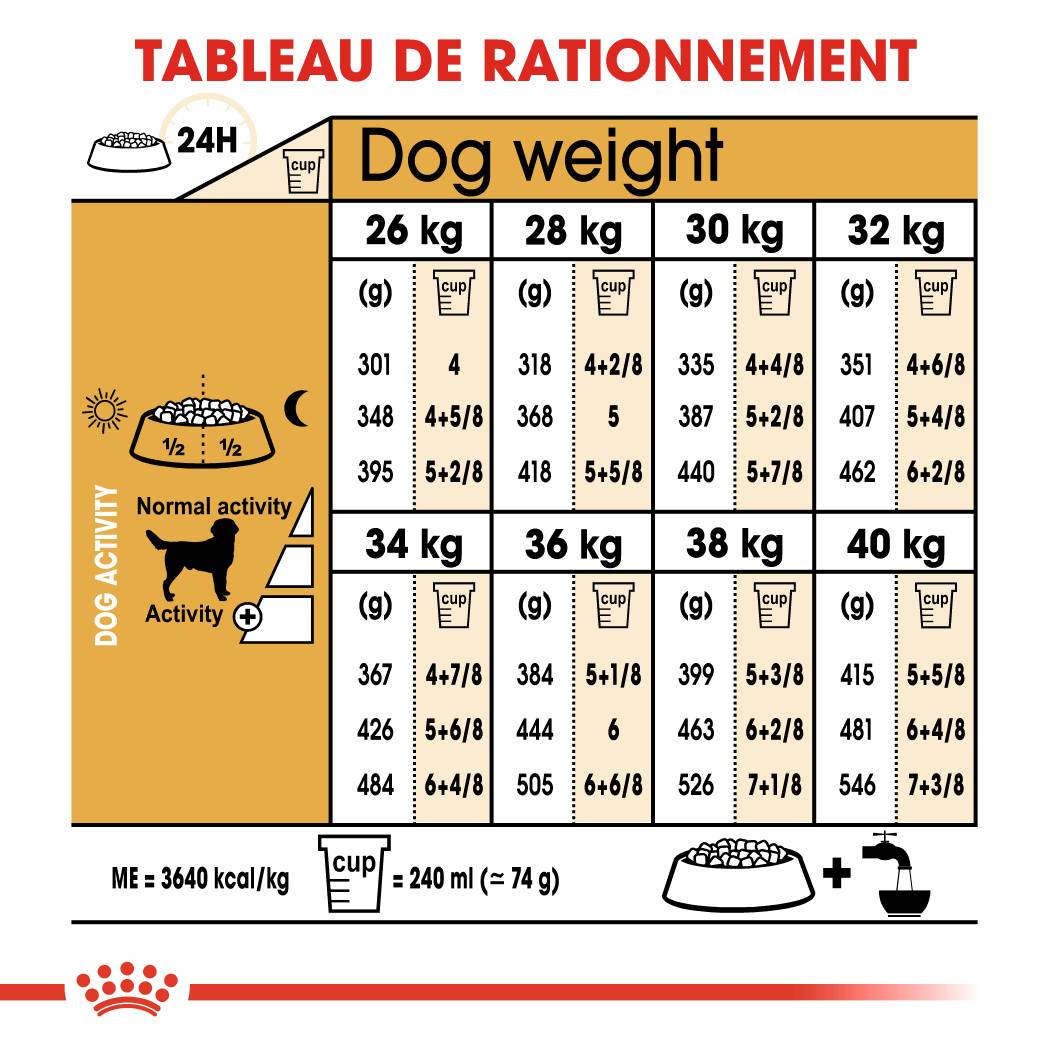 Royal Canin - Croquettes chien Labrador adulte 3 kg - ROYAL CANIN - Image 7