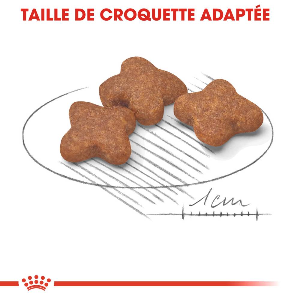 Royal Canin - Croquettes pour chien - ROYAL CANIN - Image 3
