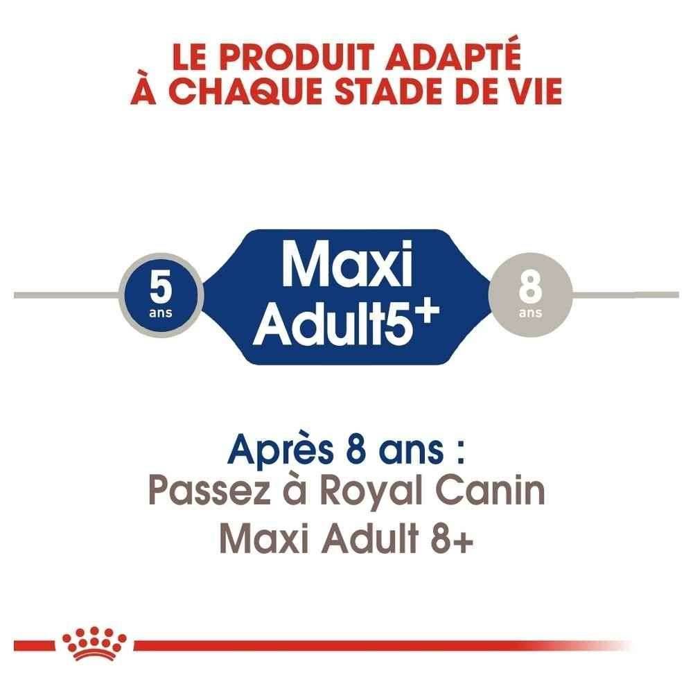 Royal Canin - Croquettes Senior Maxi Adult 5+ - ROYAL CANIN - Image 5