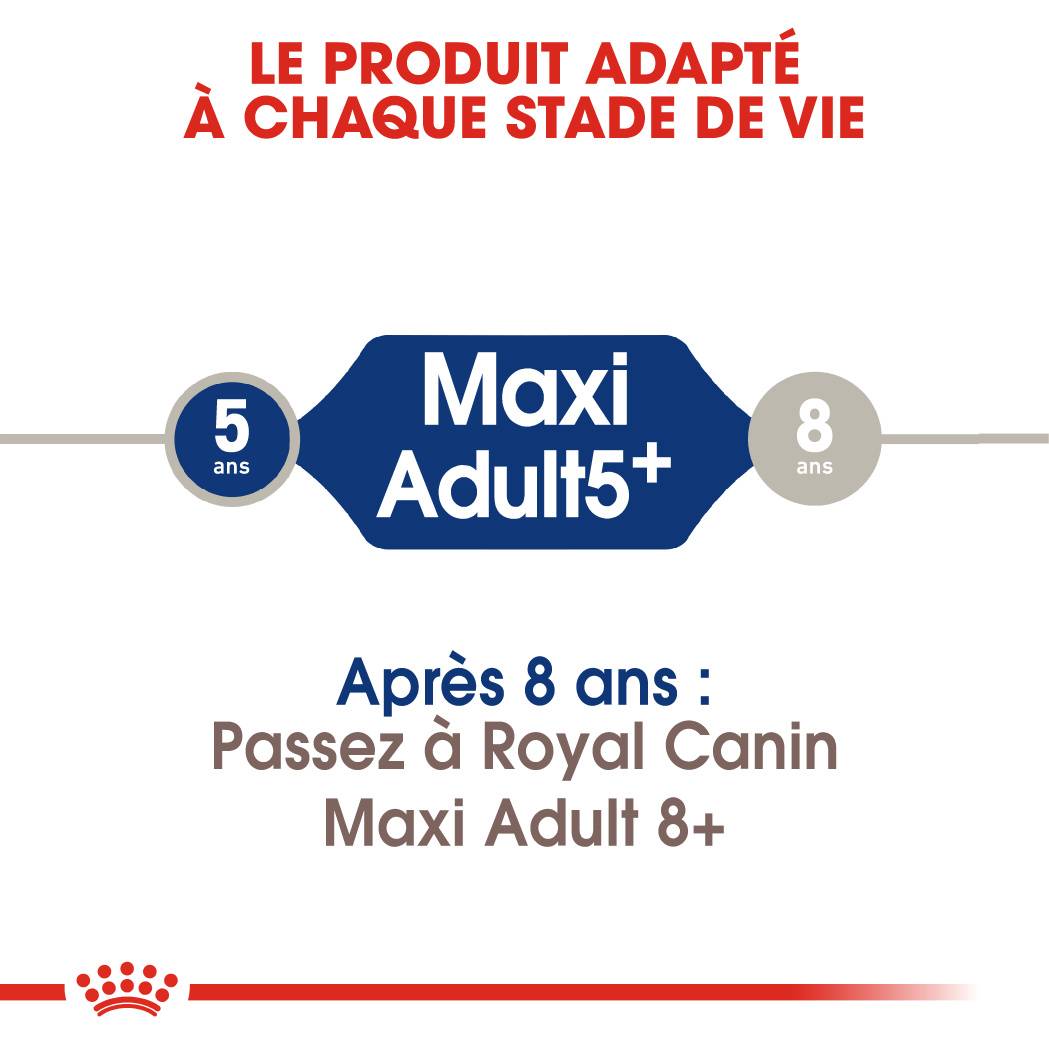 Royal Canin - Croquettes chien Maxi Adult 5+ - ROYAL CANIN - Image 4