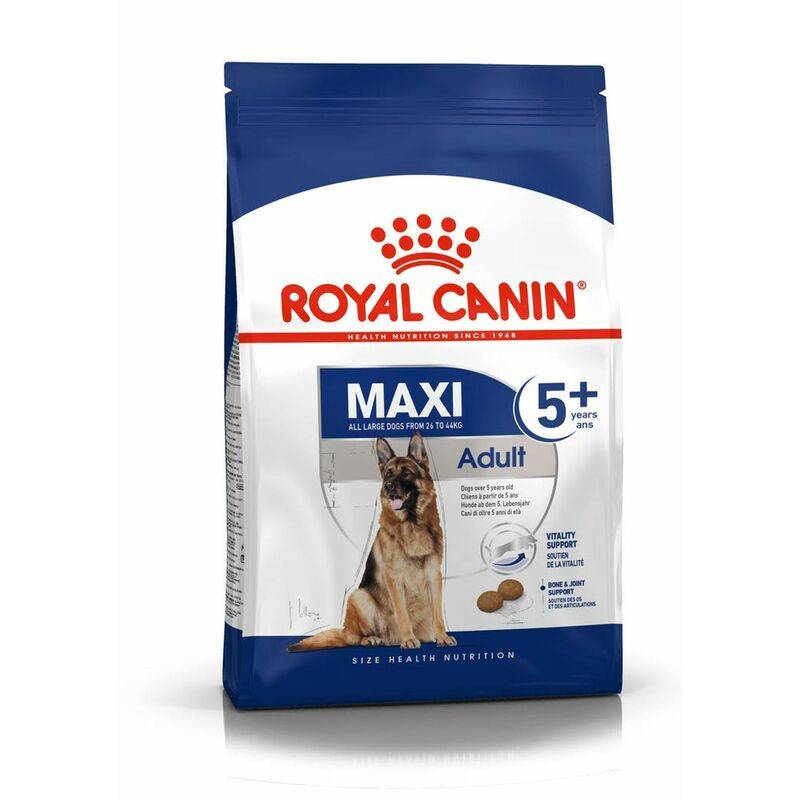 Royal Canin - Croquettes chien Maxi Adult 5+ - ROYAL CANIN - Image 6