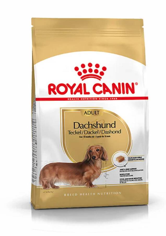 Royal Canin - Croquettes chien dachshund adulte - ROYAL CANIN