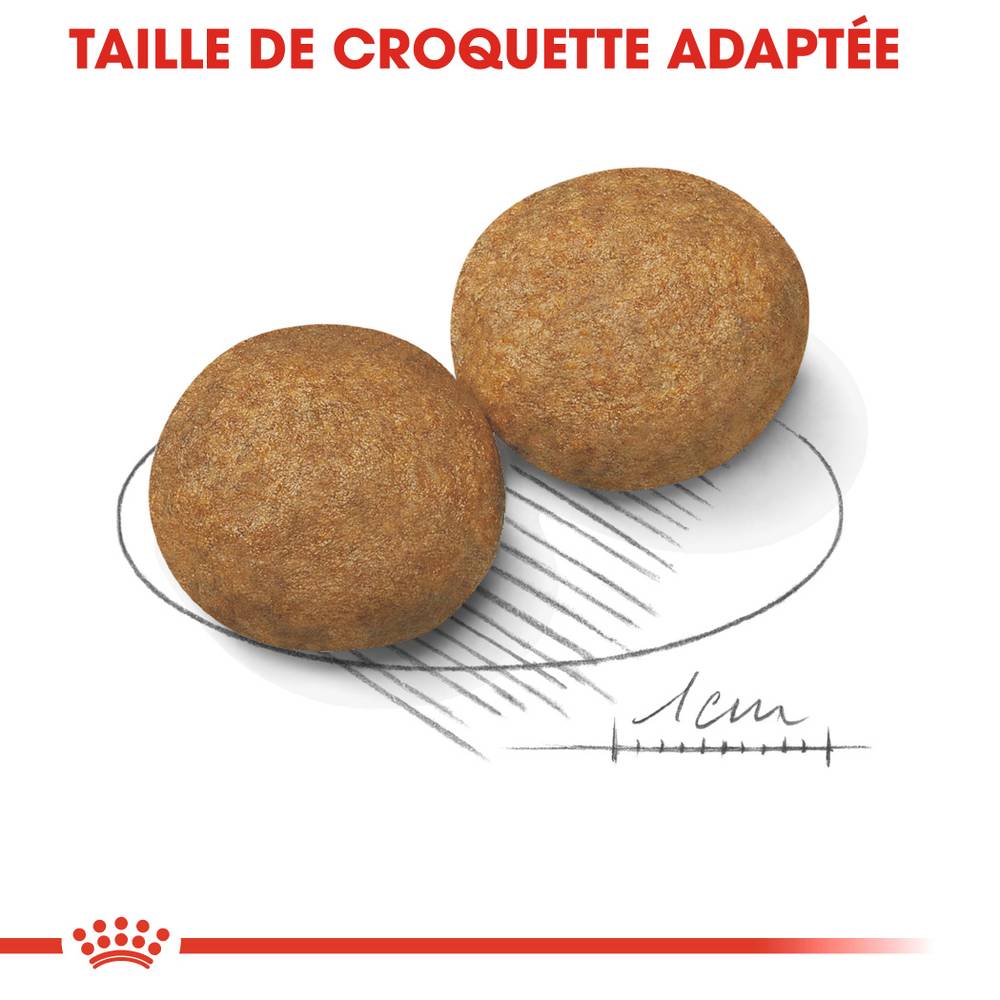 Royal Canin - Croquettes Pour Chien Medium Adult – ROYAL CANIN - Image 3