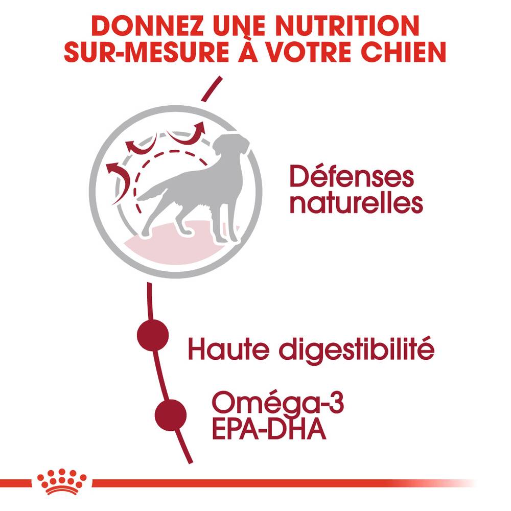 Royal Canin - Croquettes Pour Chien Medium Adult – ROYAL CANIN - Image 6