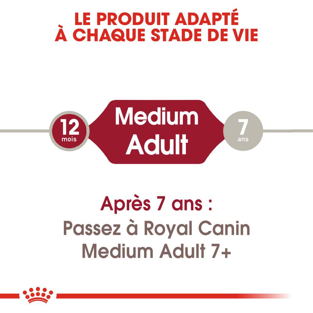 Royal Canin - Croquettes Pour Chien Medium Adult – ROYAL CANIN - Image 7