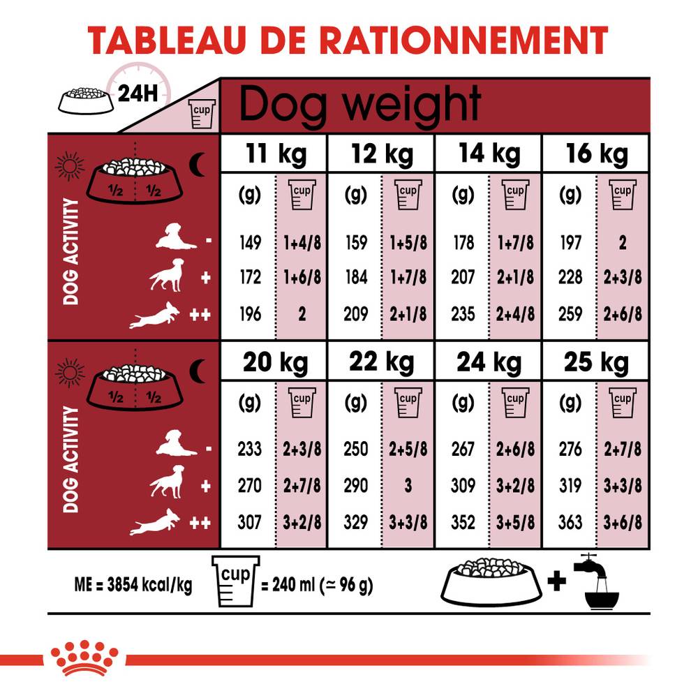 Royal Canin - Croquettes chien +7ans - ROYAL CANIN - Image 7