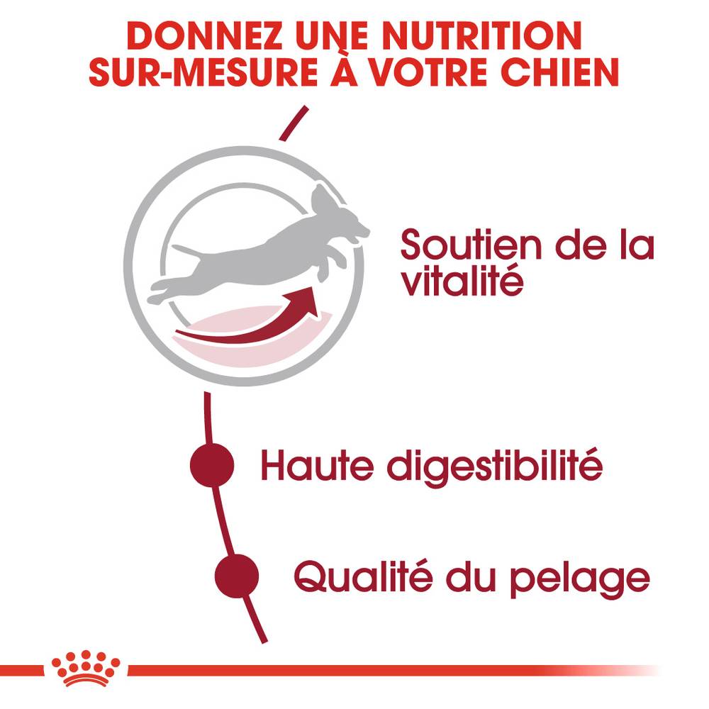 Royal Canin - Croquettes chien +7ans - ROYAL CANIN - Image 4