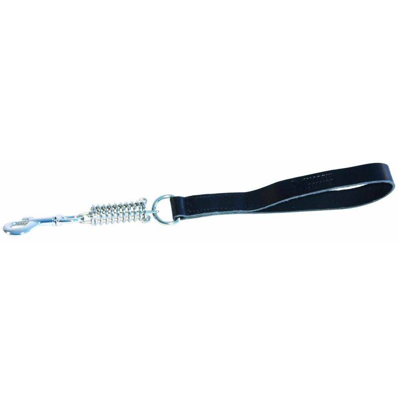 Smooz - Laisse pour chien cuir – MARTIN SELLIER - Image 2