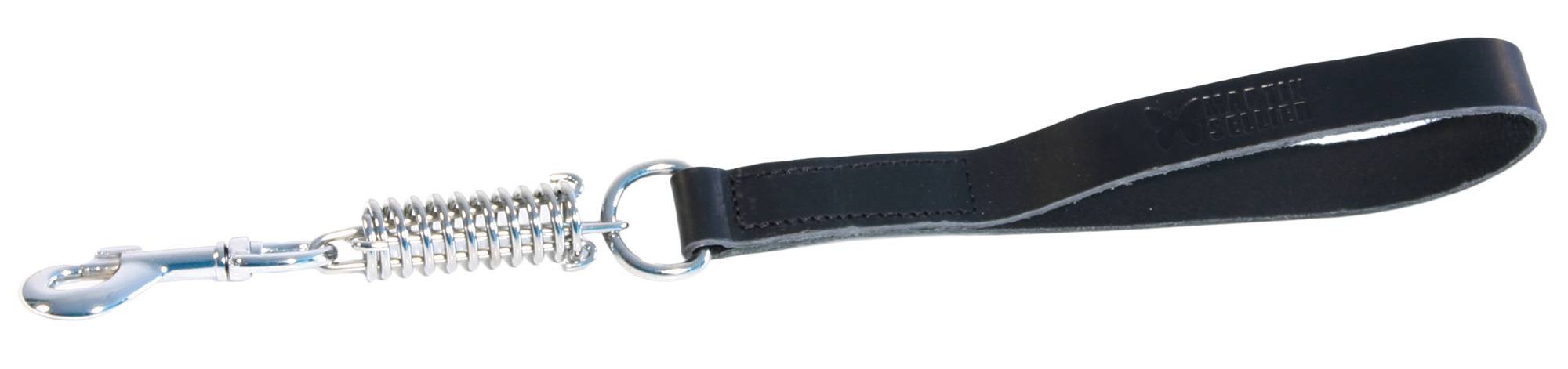 Smooz - Laisse pour chien cuir – MARTIN SELLIER
