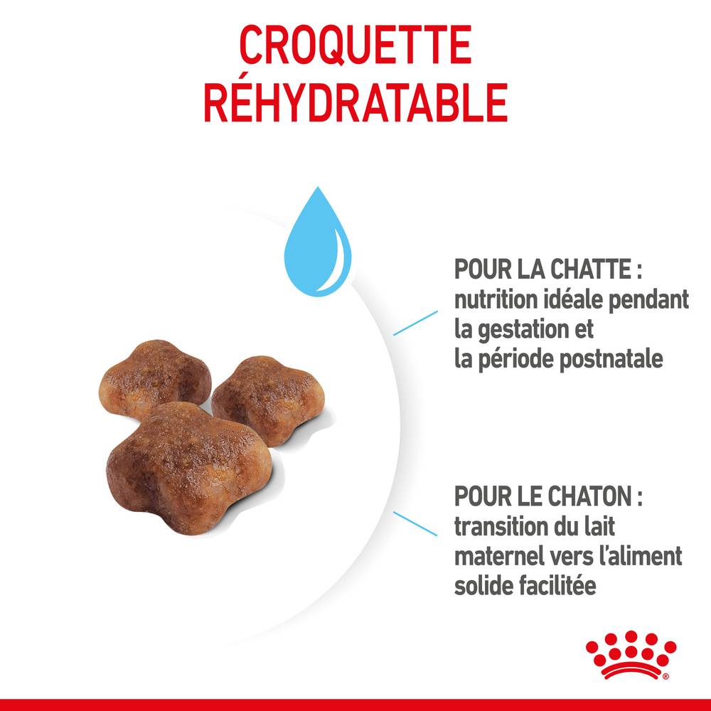 Royal Canin - Royal Canin - Croquettes pour chat Mother & Babycat 4 kg - Image 5