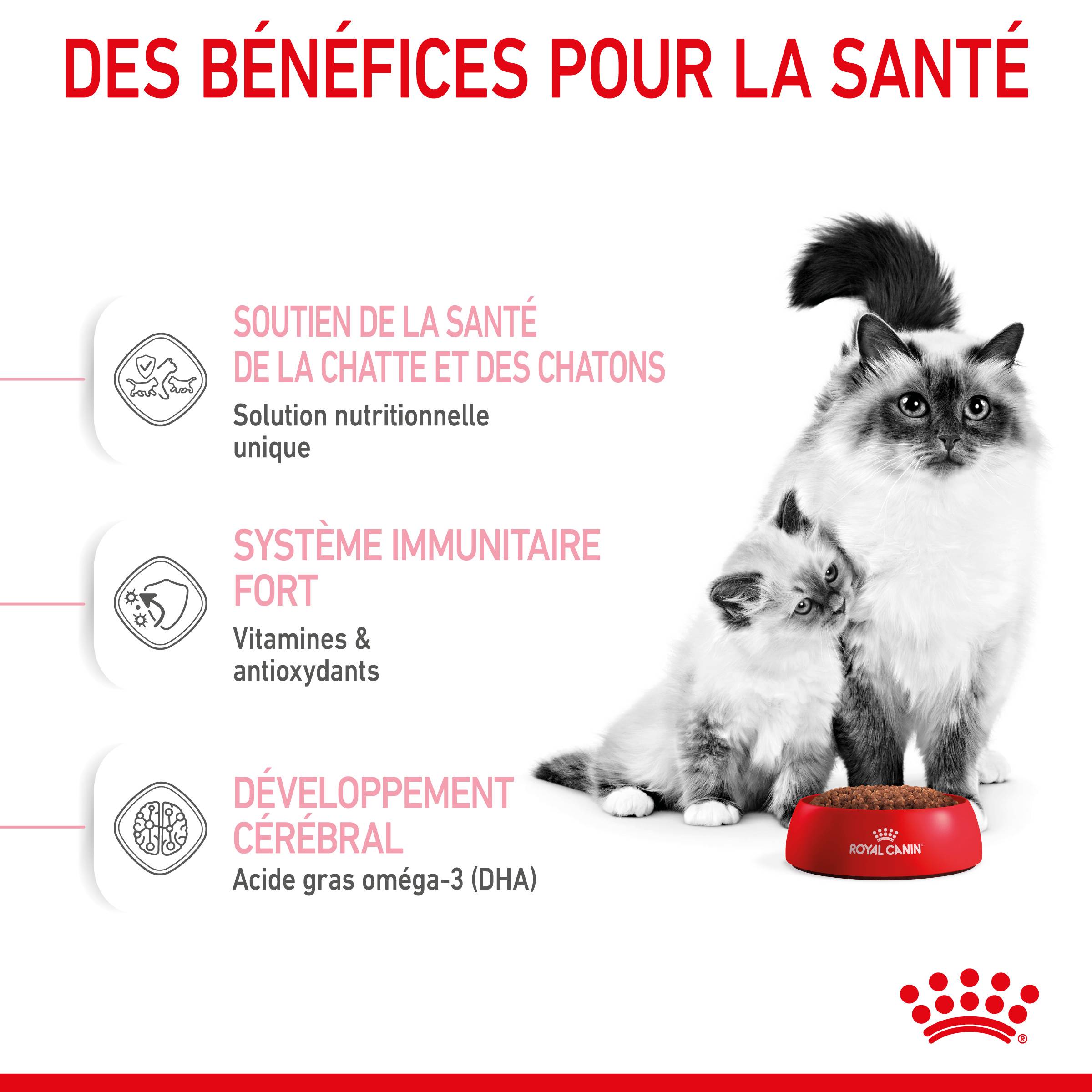 Royal Canin - Royal Canin - Croquettes pour chat Mother & Babycat 4 kg - Image 12