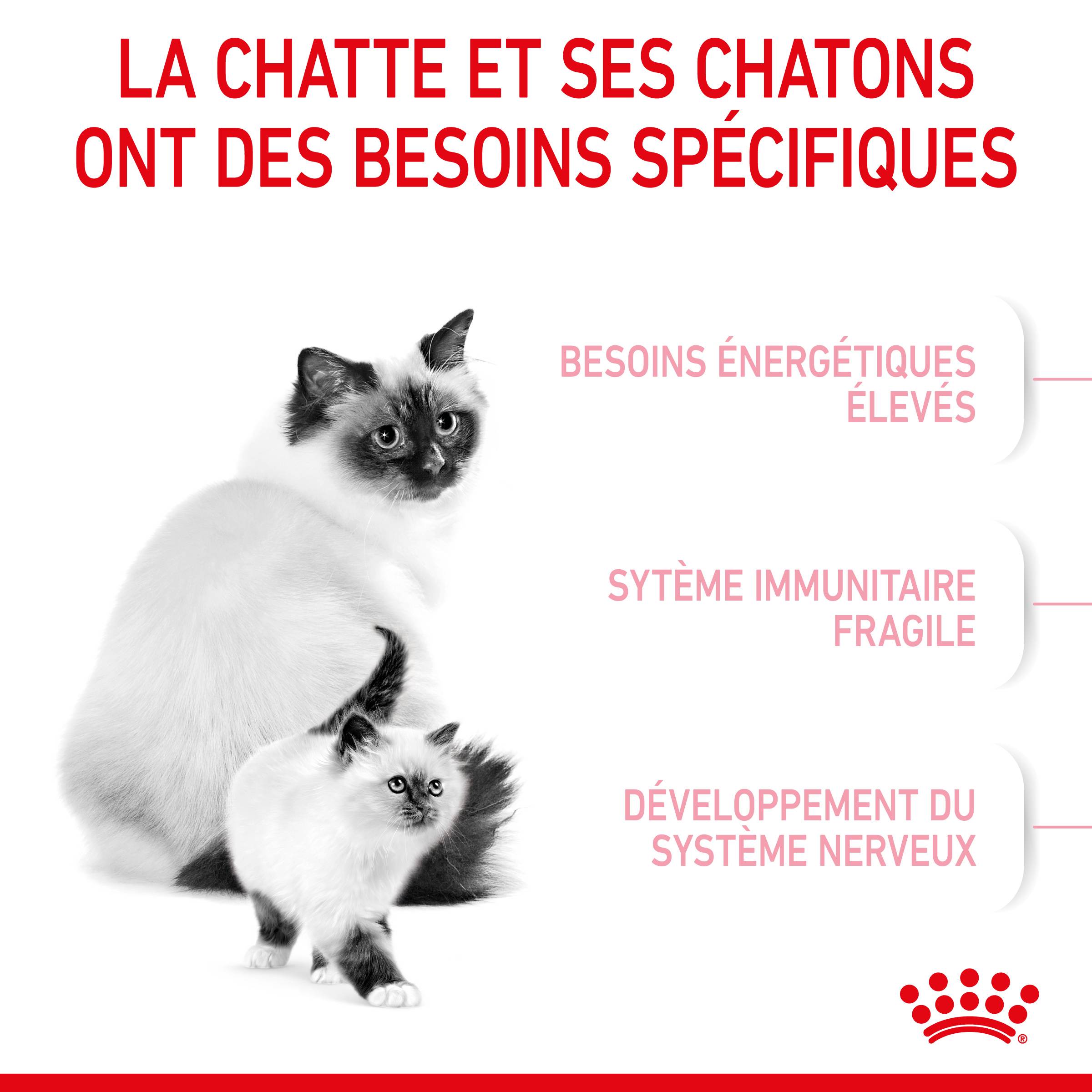 Royal Canin - Royal Canin - Croquettes pour chat Mother & Babycat 4 kg - Image 6