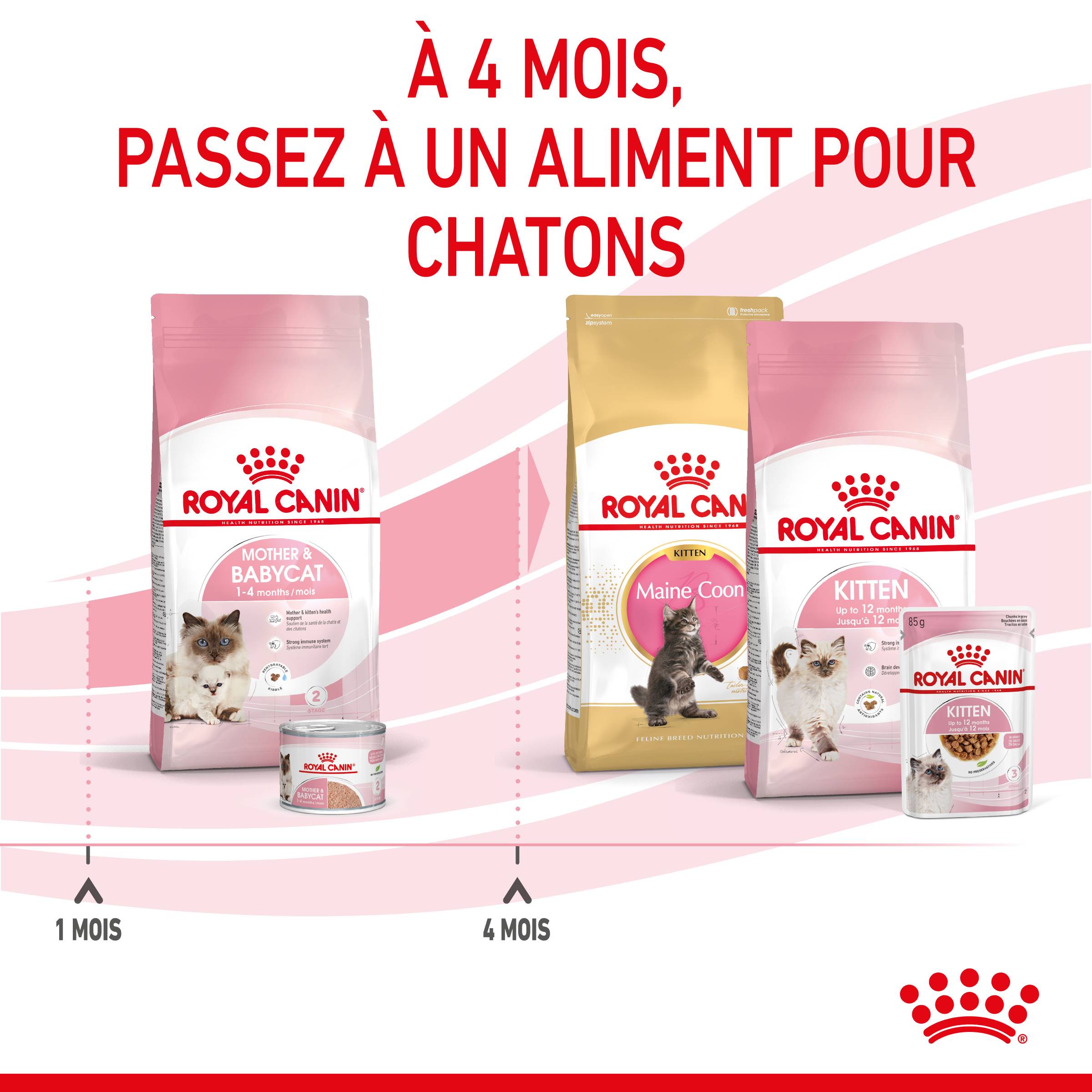 Royal Canin - Royal Canin - Croquettes pour chat Mother & Babycat 4 kg - Image 10