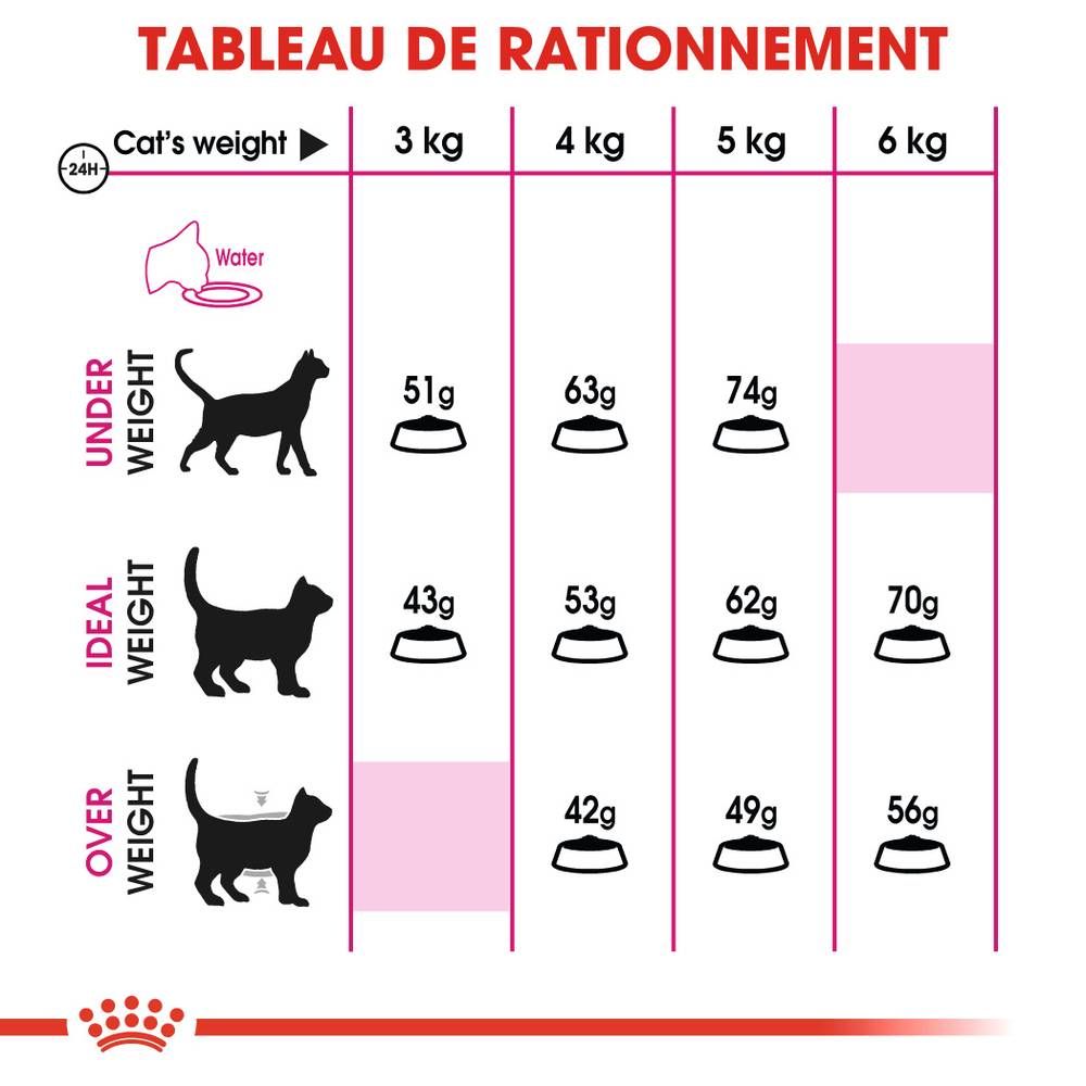 Royal Canin - Croquettes chat - ROYAL CANIN - Image 9