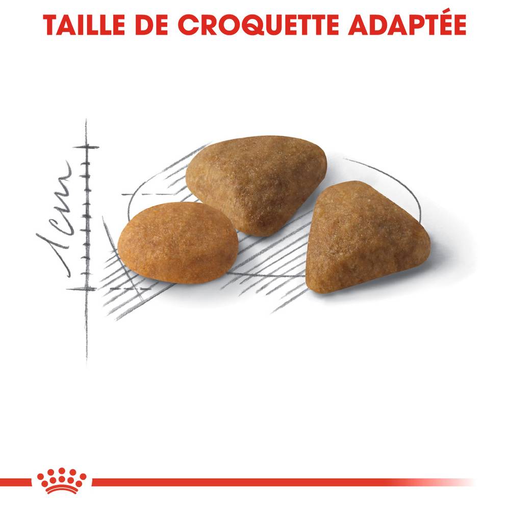Royal Canin - Croquettes chat - ROYAL CANIN - Image 5