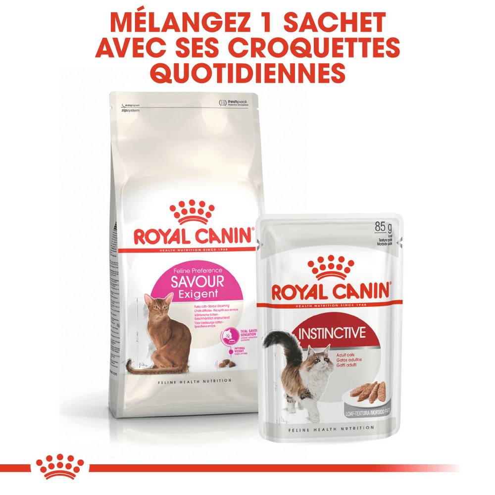 Royal Canin - Croquettes chat - ROYAL CANIN - Image 3