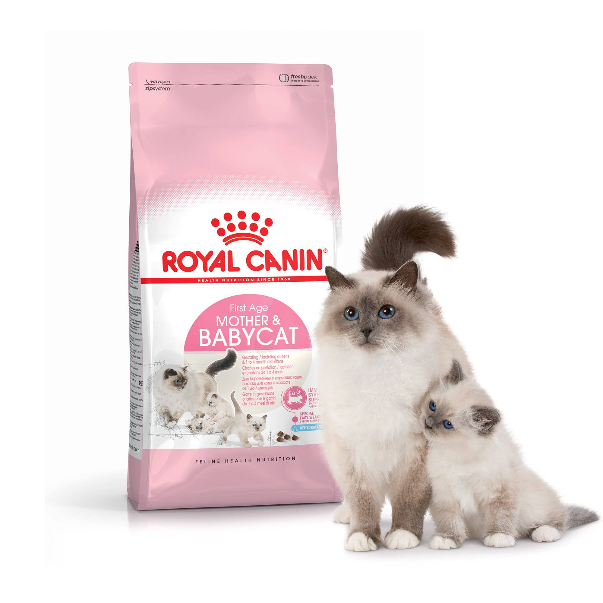 Royal Canin - Croquettes chat et chaton 0-4 mois Mother&Babycat 2 kg - ROYAL CANIN - Image 1