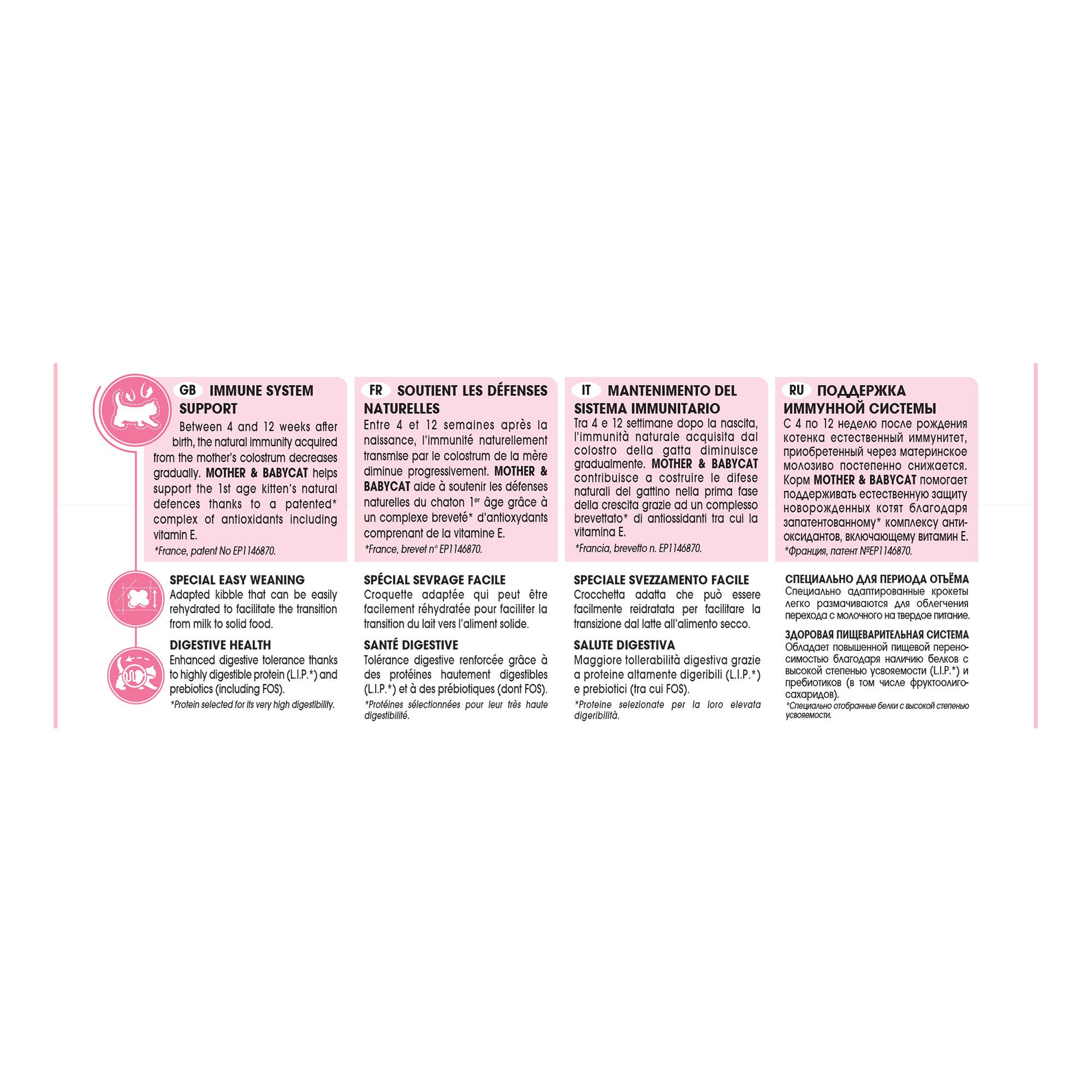 Royal Canin - Croquettes chat et chaton 0-4 mois Mother&Babycat 2 kg - ROYAL CANIN - Image 4