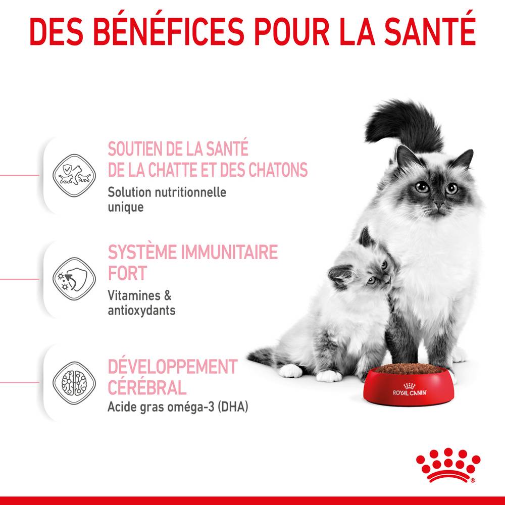 Royal Canin - Croquettes chat et chaton 0-4 mois Mother&Babycat 2 kg - ROYAL CANIN - Image 9