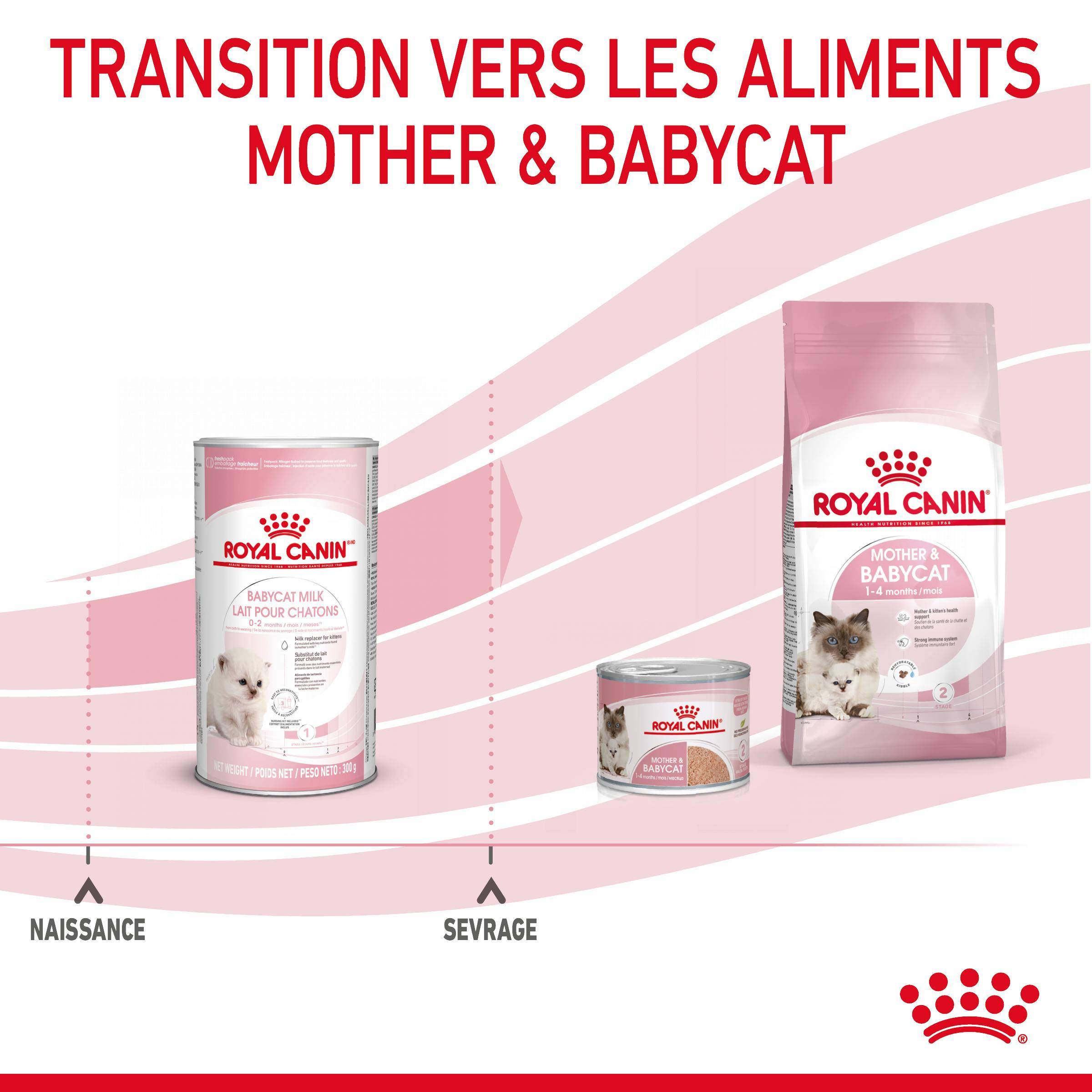 Royal Canin - Lait Maternisé Chaton - ROYAL CANIN - Image 5