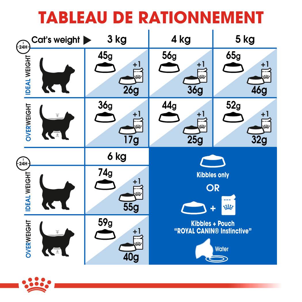 Royal Canin - Nourriture pour chat adulte d'intérieur - ROYAL CANIN - Image 2