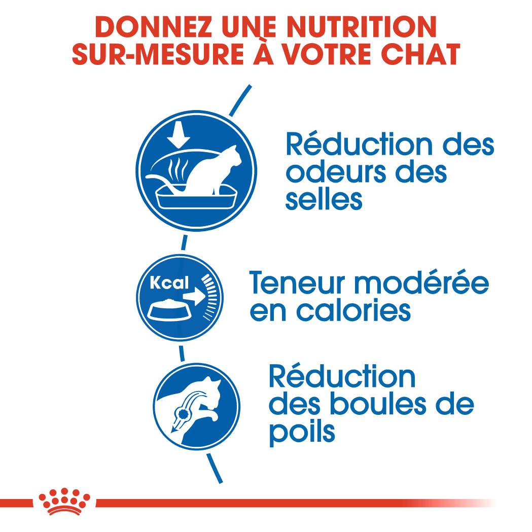 Royal Canin - Nourriture pour chat adulte d'intérieur - ROYAL CANIN - Image 4