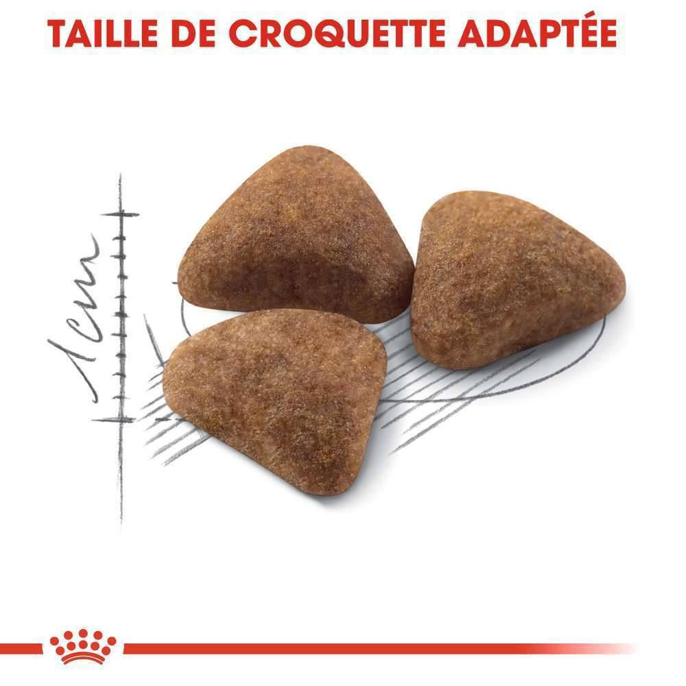 Royal Canin - Croquettes chat INDOOR27 ROYAL CANIN - Image 4