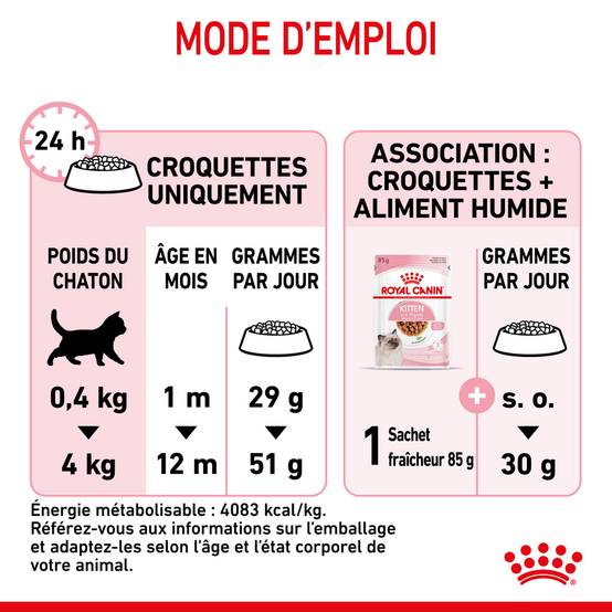 Royal Canin - Croquettes pour chaton Kitten - ROYAL CANIN - Image 4