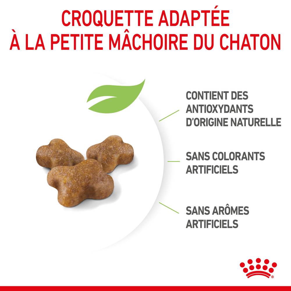 Royal Canin - Croquettes pour chaton Kitten - ROYAL CANIN - Image 3