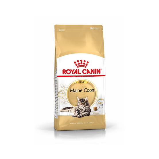Royal Canin - Croquettes Chat Maine Coon - ROYAL CANIN - Image 3