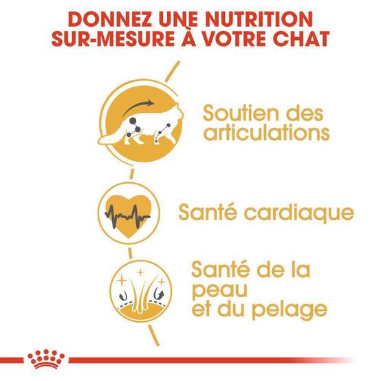 Royal Canin - Croquettes Chat Maine Coon - ROYAL CANIN - Image 5