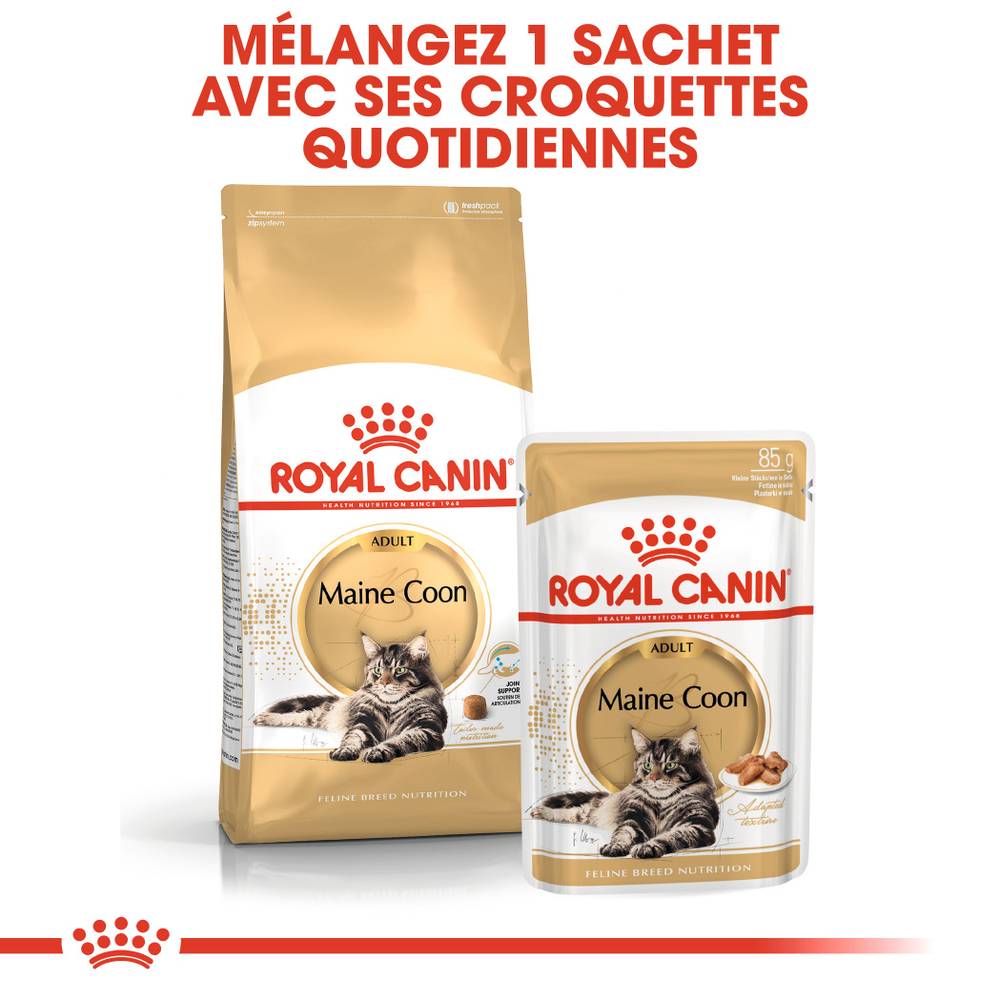 Royal Canin - Croquettes Chat Maine Coon - ROYAL CANIN - Image 4