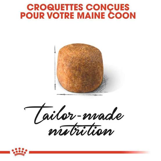 Royal Canin - Croquettes Chat Maine Coon - ROYAL CANIN - Image 2