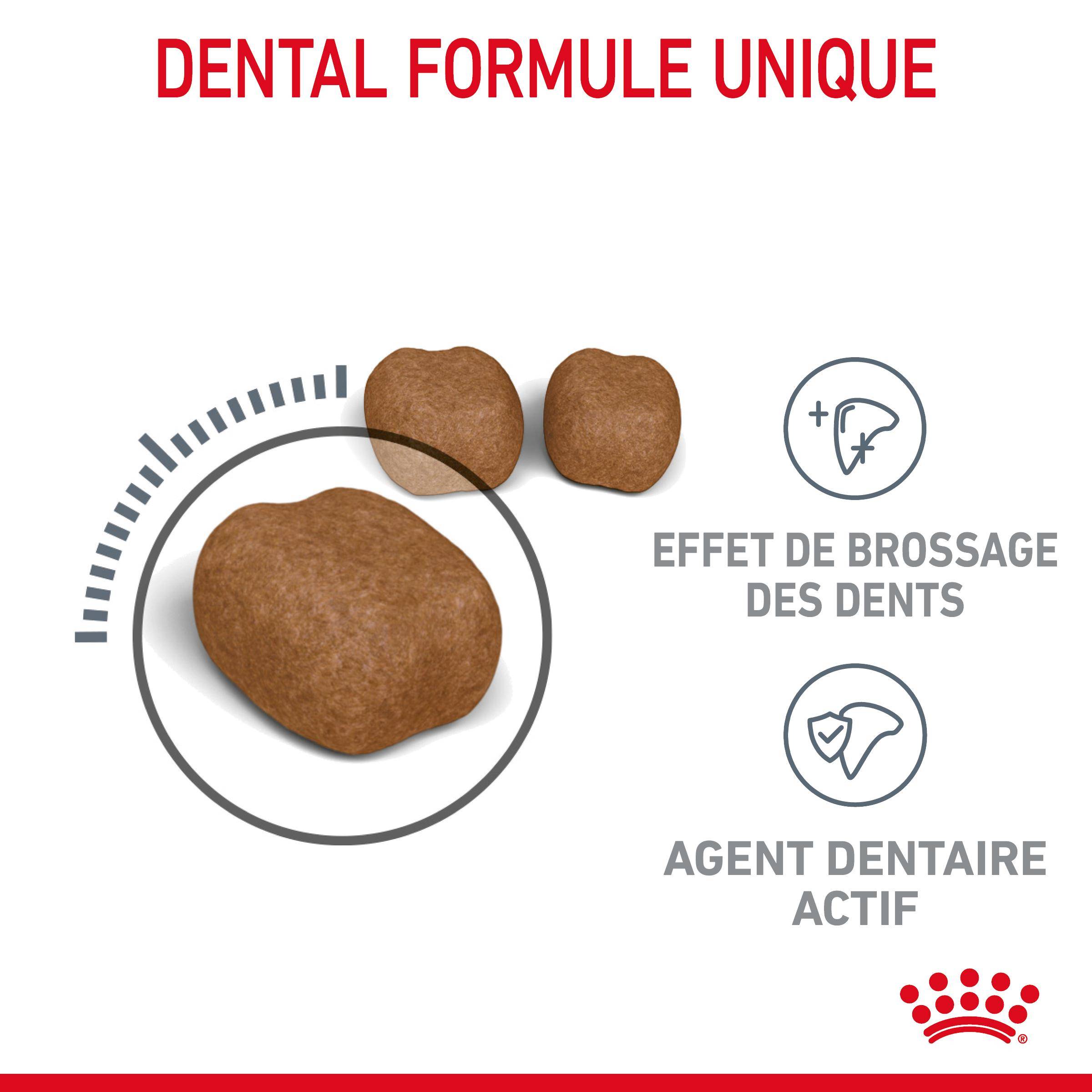 Royal Canin - Croquettes Chat Adulte Limite Tartre - ROYAL CANIN - Image 11