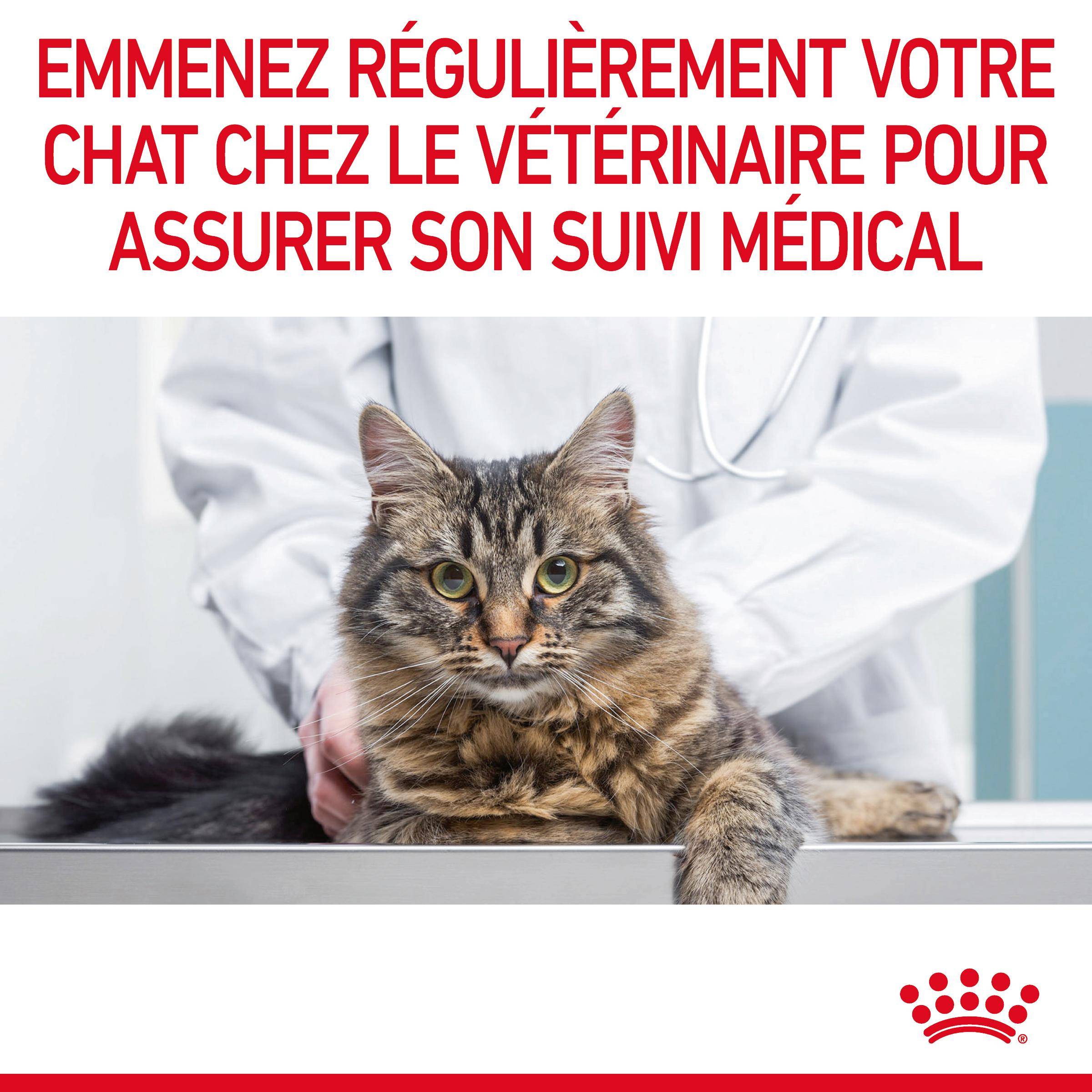 Royal Canin - Croquettes Chat Adulte Limite Tartre - ROYAL CANIN - Image 7